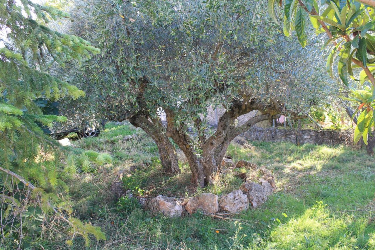 Casa Rural Baobab Romancos ภายนอก รูปภาพ