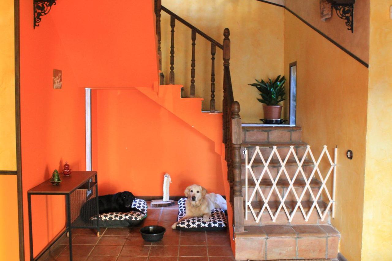Casa Rural Baobab Romancos ภายนอก รูปภาพ